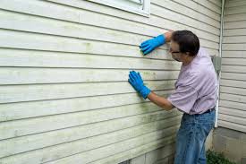 Shed Removal in Griswold, IA